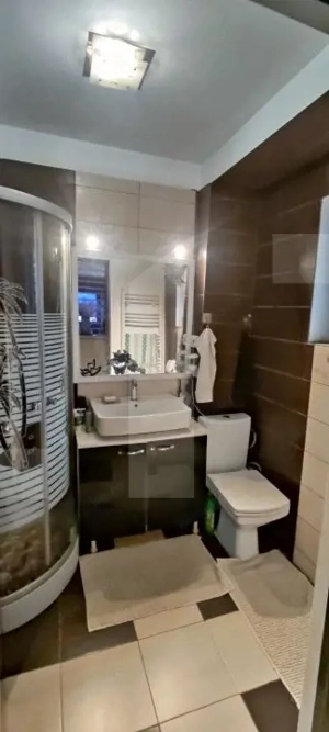 Vilă individuală 130 mp cu curte 400 mp -  Berceni - imagine 17