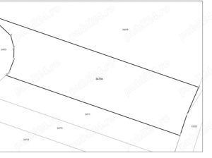  Vând livada de pruni tineri - 8700 metri pătrați - Ramna, județul Caraș-Severin 