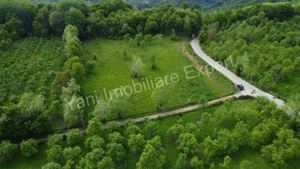 Teren de vânzare în comuna Corbi, județ Argeș. - imagine 4