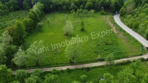 Teren de vânzare în comuna Corbi, județ Argeș. - imagine 10