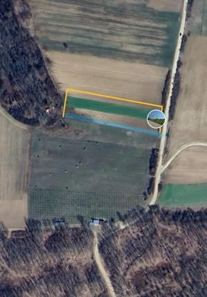  Vând livada de pruni tineri - 8700 metri pătrați - Ramna, județul Caraș-Severin  - imagine 2