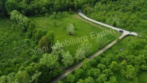 Teren de vânzare în comuna Corbi, județ Argeș. - imagine 13