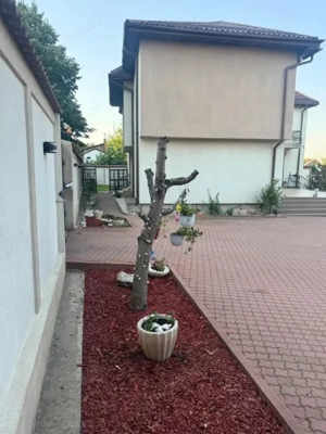 Casa S+P+1 252mp utili, zona Lăpuș, 585 mp teren  - imagine 5