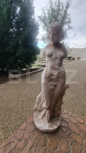 VILA 3 HA teren + 3 foraje apa - imagine 10