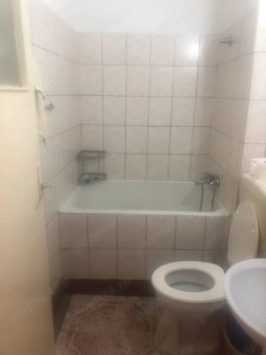 Titan Constantin Brancusi-Piata Minis - imagine 5