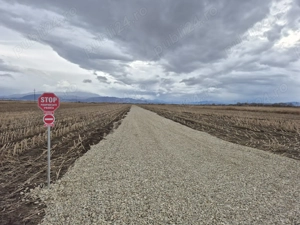 Teren intravilan 500mp in Brasov
