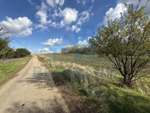 Teren intravilan - 1000mp - utilitati - deschidere mare - Mischii - imagine 3