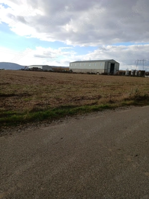 Teren intravilan industrial 5.000 mp   700 m de DN1   utilități (gaz, curent, apă, iluminat) Urleta - imagine 2