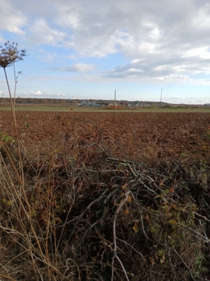 Teren intravilan industrial 5.000 mp   700 m de DN1   utilități (gaz, curent, apă, iluminat) Urleta - imagine 3