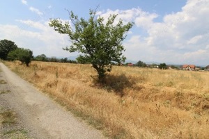 Teren extravilan 600 mp, Prelungirea Panduri - imagine 3