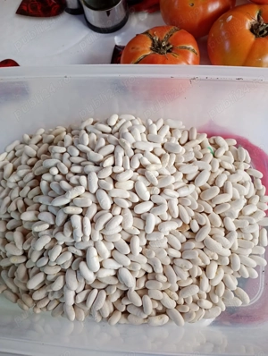 Se vinde fasole boabe alba