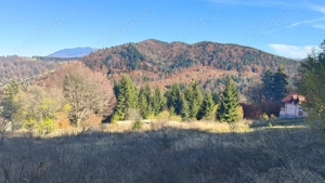 Teren intravilan situat in Predeal-Paraul Rece - imagine 2