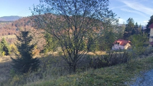 Teren intravilan situat in Predeal-Paraul Rece - imagine 4