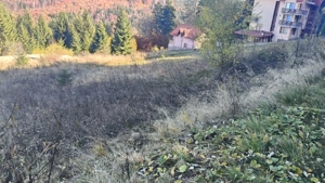 Teren intravilan situat in Predeal-Paraul Rece - imagine 5