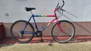 Mountainbike 21 viteze echipata Shimano foi Biopass roti 26x1.75