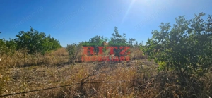 OFERTA!!! FERMA POMI FRUCTIFERI,VITA DE VIE,TEREN ARABIL SI HALA,  FARCASELE  56.800 MP !!! - imagine 15