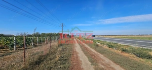 OFERTA!!! FERMA POMI FRUCTIFERI,VITA DE VIE,TEREN ARABIL SI HALA,  FARCASELE  56.800 MP !!! - imagine 7