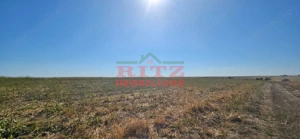 OFERTA!!! FERMA POMI FRUCTIFERI,VITA DE VIE,TEREN ARABIL SI HALA,  FARCASELE  56.800 MP !!! - imagine 20