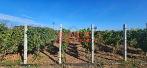 OFERTA!!! FERMA POMI FRUCTIFERI,VITA DE VIE,TEREN ARABIL SI HALA,  FARCASELE  56.800 MP !!! - imagine 17