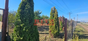 OFERTA!!! FERMA POMI FRUCTIFERI,VITA DE VIE,TEREN ARABIL SI HALA,  FARCASELE  56.800 MP !!! - imagine 5