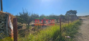 OFERTA!!! FERMA POMI FRUCTIFERI,VITA DE VIE,TEREN ARABIL SI HALA,  FARCASELE  56.800 MP !!! - imagine 6