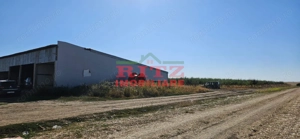 OFERTA!!! FERMA POMI FRUCTIFERI,VITA DE VIE,TEREN ARABIL SI HALA,  FARCASELE  56.800 MP !!! - imagine 2