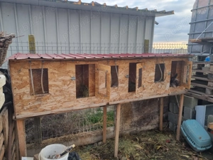 Cusca de iepuri cu iepuri totul automat - imagine 2