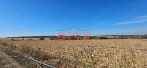 OFERTA!!! FERMA POMI FRUCTIFERI,VITA DE VIE,TEREN ARABIL SI HALA,  FARCASELE  56.800 MP !!! - imagine 13