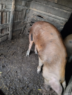 Ultimul rămas! sat Rași. - imagine 3