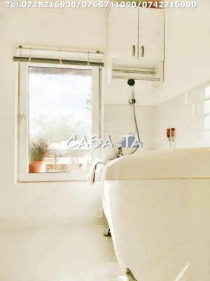 Închiriere casa cocheta, situata în Tetila (Curtișoara Gorj) - imagine 17