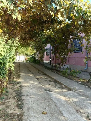 Casa cu curte. Canalizare si baie