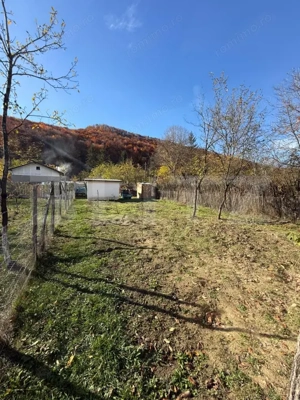 Teren intravilan 1500 mp, ideal pentru casă – Iedera  - imagine 2