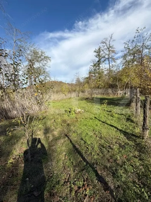 Teren intravilan 1500 mp, ideal pentru casă – Iedera  - imagine 3