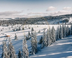 Terenuri cu PUZ, 700 - 1000+ mp, in Marisel, la 400 m de partia de Ski - imagine 8