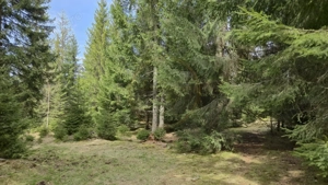 Terenuri cu PUZ, 700 - 1000+ mp, in Marisel, la 400 m de partia de Ski - imagine 3