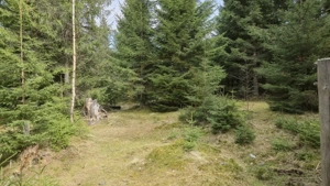 Terenuri cu PUZ, 700 - 1000+ mp, in Marisel, la 400 m de partia de Ski - imagine 2