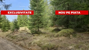 Terenuri cu PUZ, 700 - 1000+ mp, in Marisel, la 400 m de partia de Ski