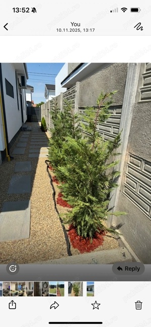 Duplex în Mosnita veche - imagine 9