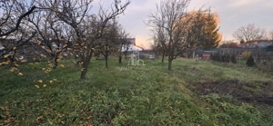 Teren Intravilan 1,2 Hectare cu Cert Urbanism,Sat Tisieu,Com. Ibanesti - imagine 2