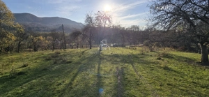 Teren Intravilan 1,2 Hectare cu Cert Urbanism,Sat Tisieu,Com. Ibanesti - imagine 3