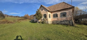 Teren Intravilan 1,2 Hectare cu Cert Urbanism,Sat Tisieu,Com. Ibanesti - imagine 4