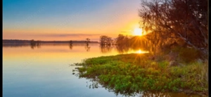 SISESTI teren5000mp iesire la LAC