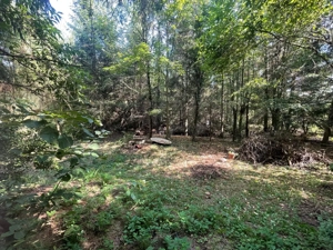 De vânzare casă cu teren intravilan   Roșia Nouă, comuna Petriș, jud. Arad - imagine 9