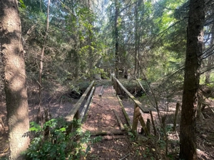 De vânzare casă cu teren intravilan   Roșia Nouă, comuna Petriș, jud. Arad - imagine 11