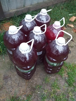 Vin de Butura Viță de vie, natural roșu, curat fără ingrediente și Țuică Bătrână de Prune > 10ani.