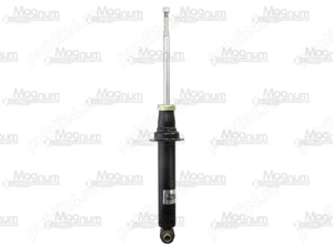 Amortizoare spate BMW E60 - imagine 2