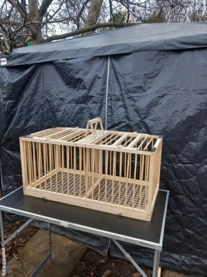 Colivii, voliere, căsuțe pasarele 