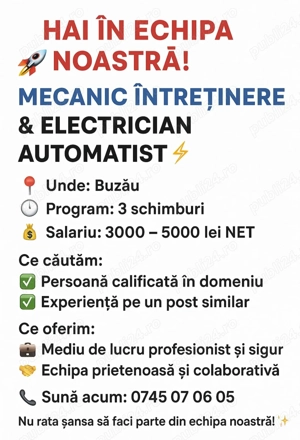 Mecanic Intretinere si Electrician Automatizari