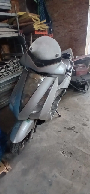 Scutere de 125 cm  500  buc - imagine 3