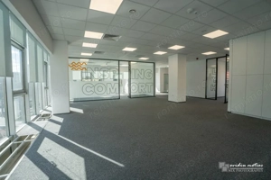 Birouri 216 mp Brancusi